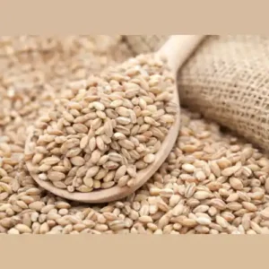 Barley groats (Pearl barley)