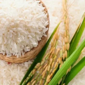 Polished rice "Avangard"